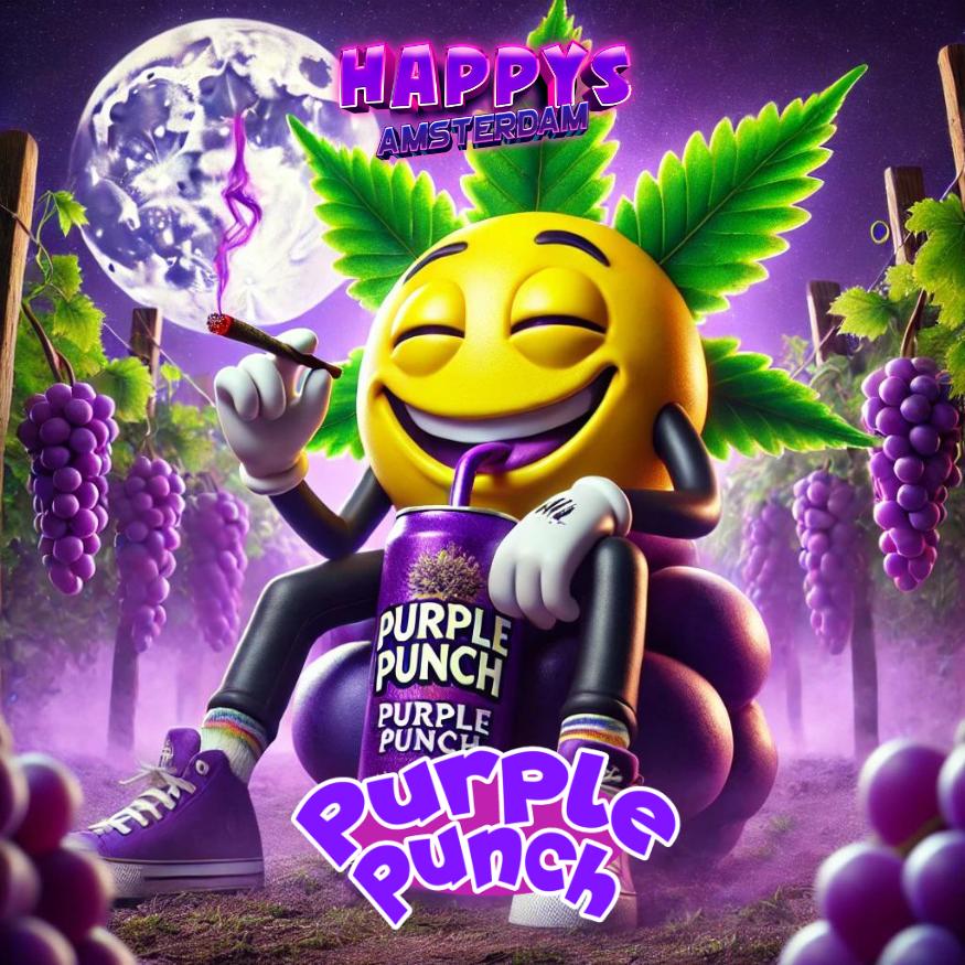 Happys Amsterdam TAC Purple Punch - PodBox24